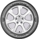 Goodyear F1/Asym3 SUV