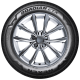 Nexen CTX